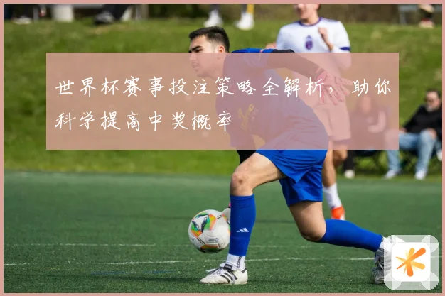 世界杯赛事投注策略全解析，助你科学提高中奖概率